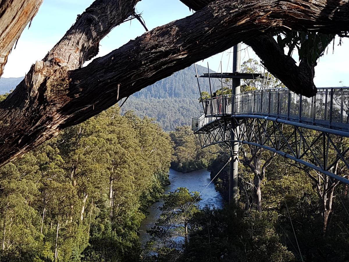 Tahune Airwalk Cabin And Lodge Geeveston Extérieur photo